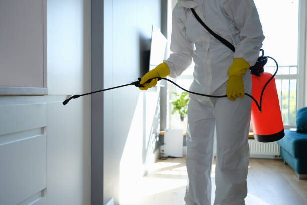 Mold Testing and Removal in Sudden Valley, WA